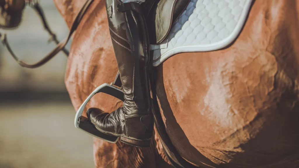 カルチャー情報